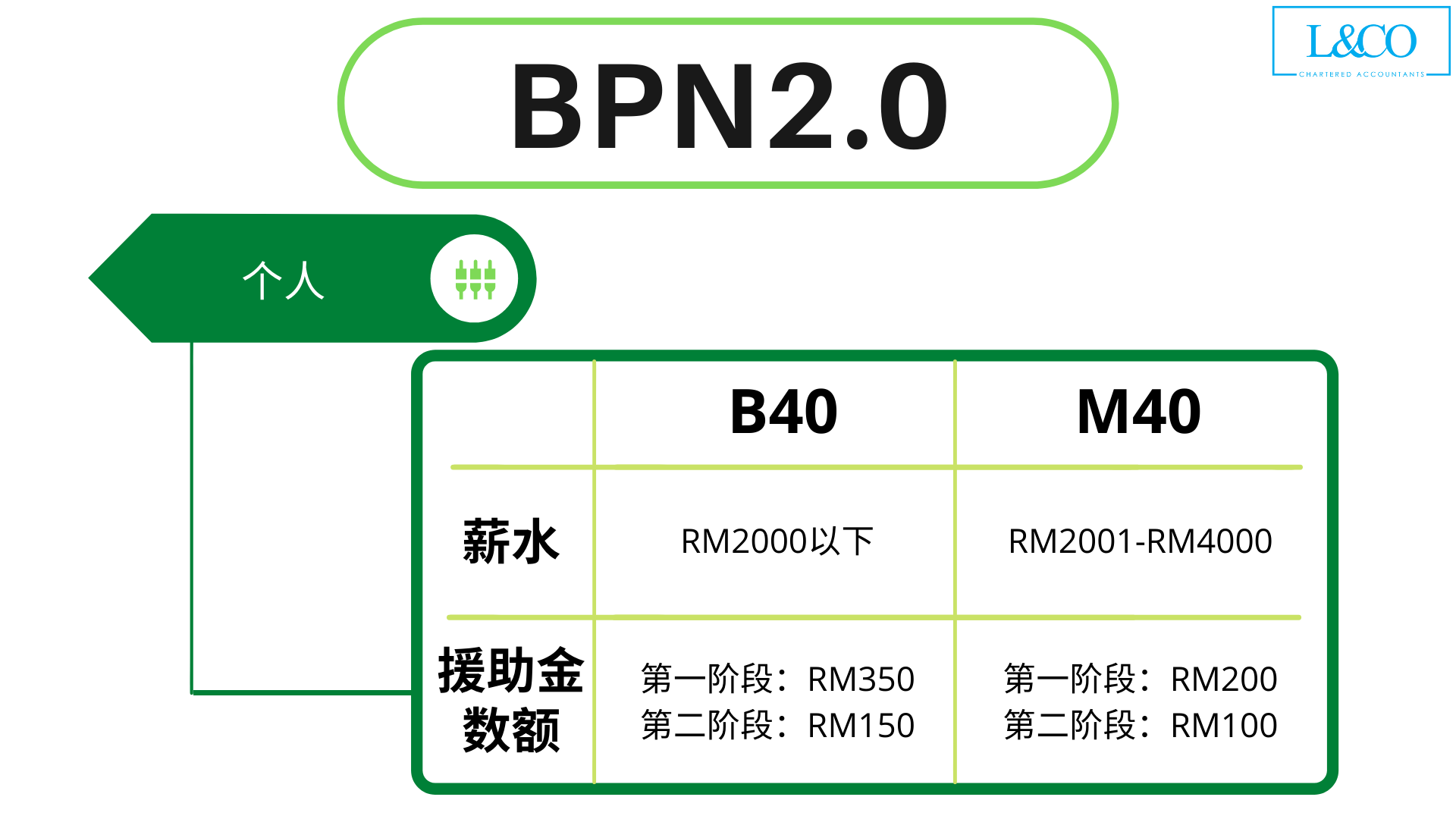 BPN2.0 单身类别申请详情