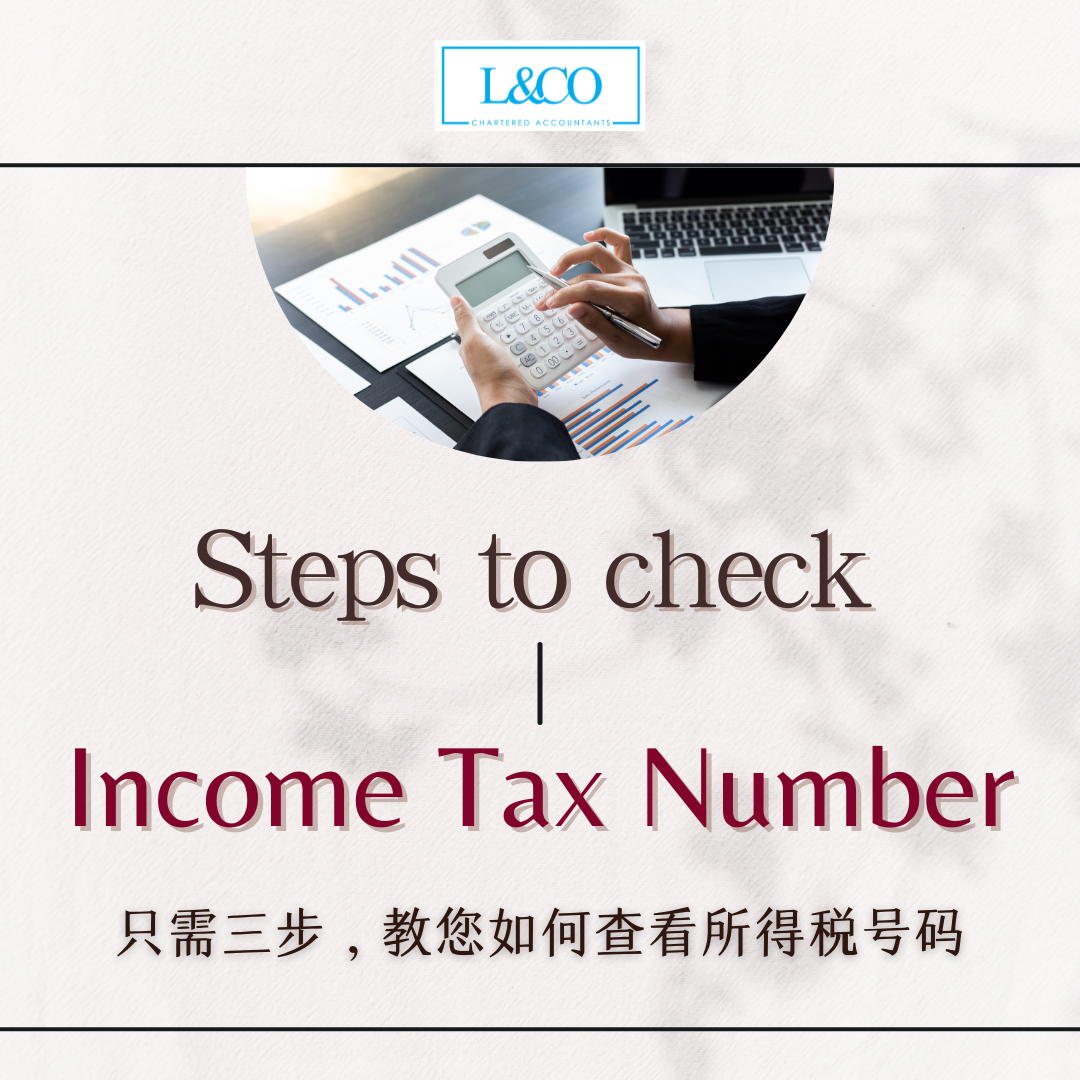 steps-to-check-income-tax-number-l-co