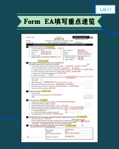 Form EA 填写全攻略 - L & Co Chartered Accountants